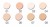   GOLDEN ROSE Silky Touch (  )